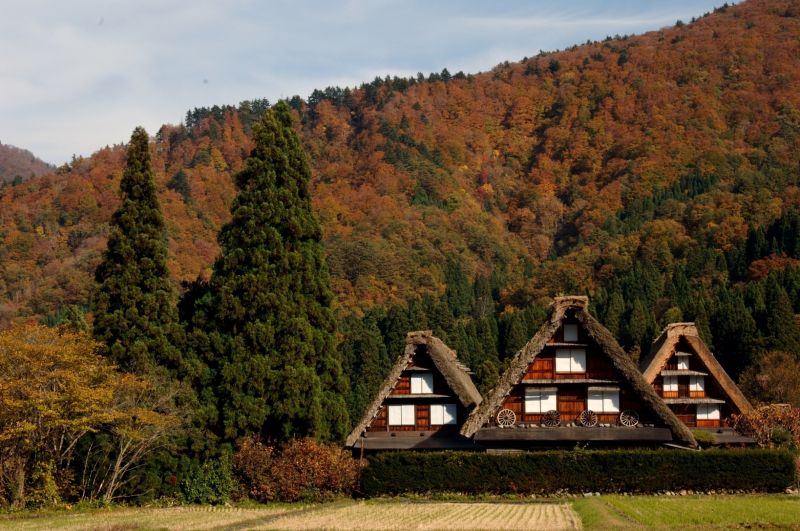 làng Shirakawago làng Shirakawago